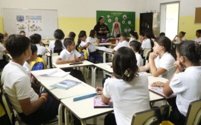 Propuestas de reformas del MinEducación a materias básicas debe pasar por más consultas, estiman expertos
